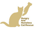 Hungry and Homeless Cat Rescue