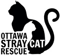 Ottawa Stray Cat Rescue