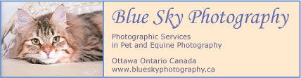 Blue Sky Photography